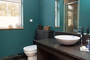 The ground floor shower-room.