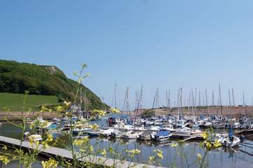Seaton has a pretty harbour - home to working fishing boats and yachts alike.