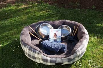 The Owners also give your four legged friend a warm welcome to Tregwyth.