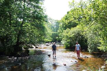 The dogs will love swimming in the numerous fast flowing rivers and streams found on the moor. This is Dartmeet.
