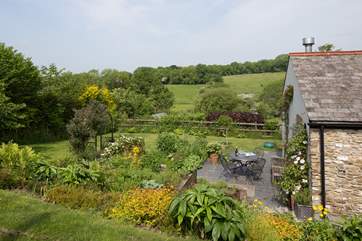 The lovely garden.