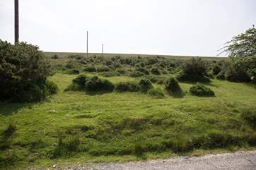 The narrow lane to the cottage.