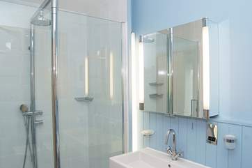 The double-sized shower in the bathroom.