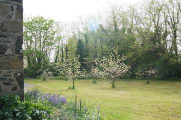 The view of the front garden from the side of the cottage, the Owners cottage is on the far side of the garden beyond the gate.