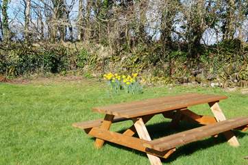 The front garden has a bench seat for some al fresco dining when the sun is shining.