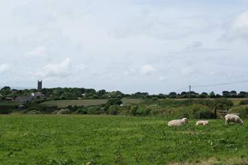 If you are looking for rural tranquility then you have just found it.