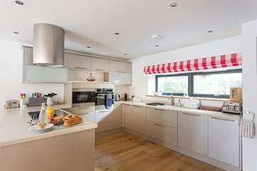 Plenty of space for family meal preparation, and plenty of equipment too.