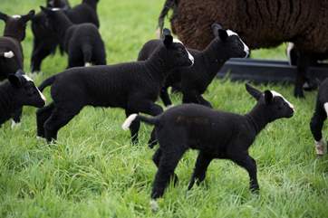 Meet your neighbours!
