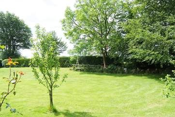 The garden for guests' use.