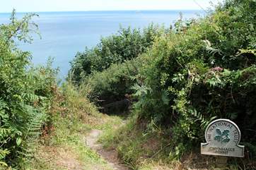 Chynhalls Point is en route towards the Lizard peninsula which is just over 10 miles away from Coverack passing through this Area of Outstanding Natural Beauty.