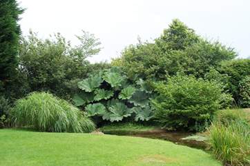 Part of the grounds behind Cardwen farmhouse.
