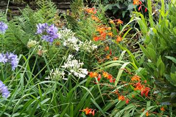 Colourful plants and shrubs throughout the grounds.