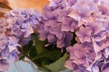 Old fashioned plants suit the age of the house.