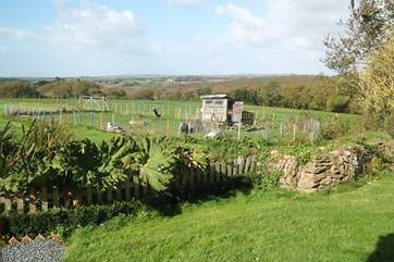 The view from the terrace across the enclosed 'seasonal pond' to the chickens (this only fills with water during wet weather) and your private garden is to the right of the picture.