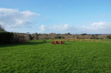 The views are great at any time of year even on a cold January morning!