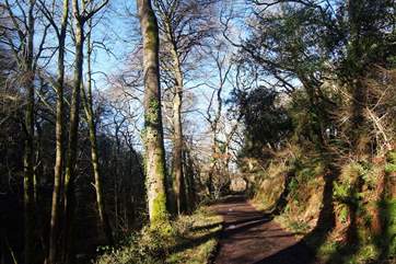The walk takes you through the woods and follows the stream down to the quay.