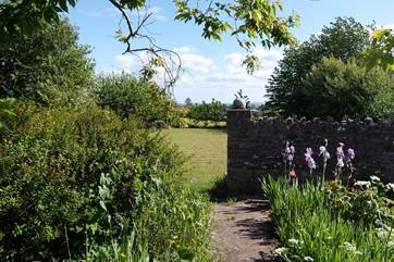The garden has plenty of tucked away spaces to enjoy - and some gorgeous views too.