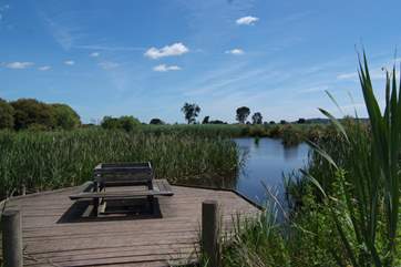 This area is very special with numerous RSPB wildlife and bird santuaries. This is Greylakes, a short drive from Fig Tree Barn.