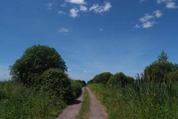 The Levels are criss crossed with ancient drovers' trails - excellent for walking and cycling.
