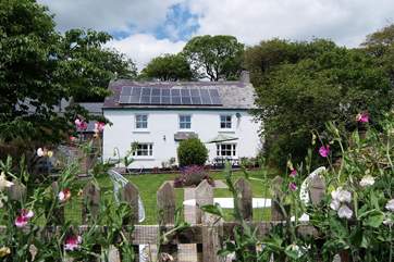 The gardens here are a delight. Fully enclosed so great for children to play and for your dog too.