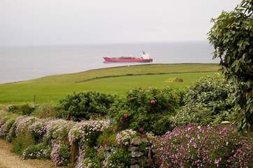 Watch the ships slowly pass by.