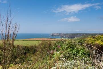 Views over Kynance Bay from the garden.