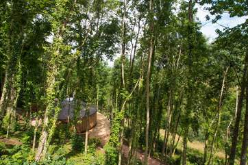 Stunning cedar clad Owl Yurt.