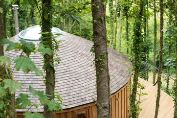There is such beautiful detail in the cedar roof.