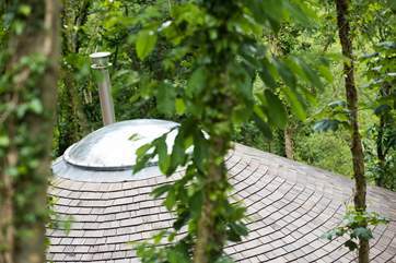 Owl's cedar tiled roof.