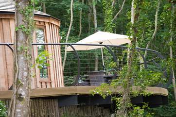 Looking up at Owl with its deck jutting out into the woodland.