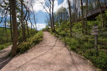 The pathway parts, heading to Owl in one directions and Buzzard and Pheasant in the other.