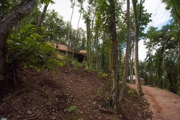 The steep slope leads up to Pheasant with Owl on the lower level.