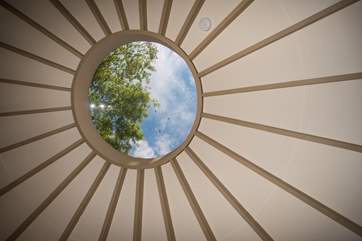 Gazing through the roof top at the world above.