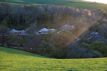 A view towards the Yurts from the other side of the valley with Woodpecker on the left, then Buzzard to its right, then Pheasant and then Owl on the far right.