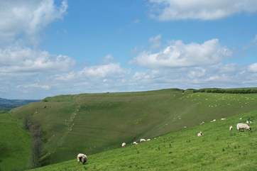 Catsley House is surrounded by the most beautiful countryside. This is nearby Eggardon Hill - an iron age hill fort with panoramic views towards the Jurassic Coast.