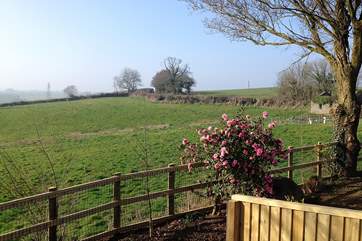 The view from the raised deck at Rame.
