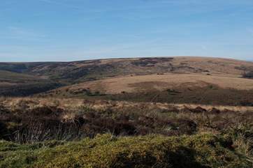 The wilds of Exmoor are on your doorstep.