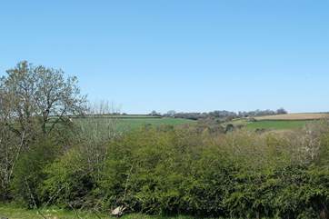The view from the window at the top of the stairs.