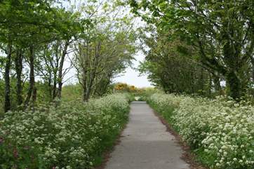 Walking and cycling trails such as The Great Flat Lode are on yours to explore right on the doorstep.
