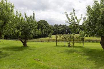 This is the view from the garden - overlooking the owners' fields where you will see cattle from their pedigree Ruby Red herd grazing.