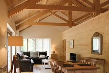 The open plan living-area with warm wood and high ceilings.