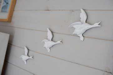 You should see these on the lake too!