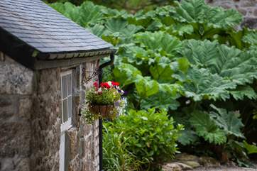 Ellas Pottery is set within well maintained grounds.