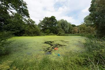 The natural wildlife lake is a short walk away and is fully fenced but please take care with children.