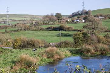 Just across the lane from the farm you can see the resident Gotland sheep.