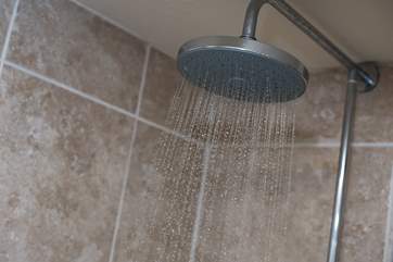 Rainhead shower.