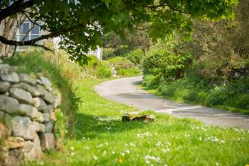 The private lane leading up to Buffers.