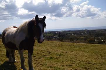 It is not just the guests who enjoy the views from up here!