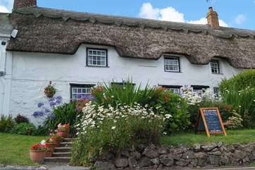 Homemade cakes and food to take away from the little cottage in the bay.