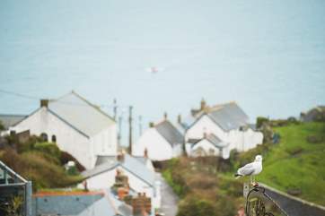 The view across the rooftops where you will see the seagulls perching.